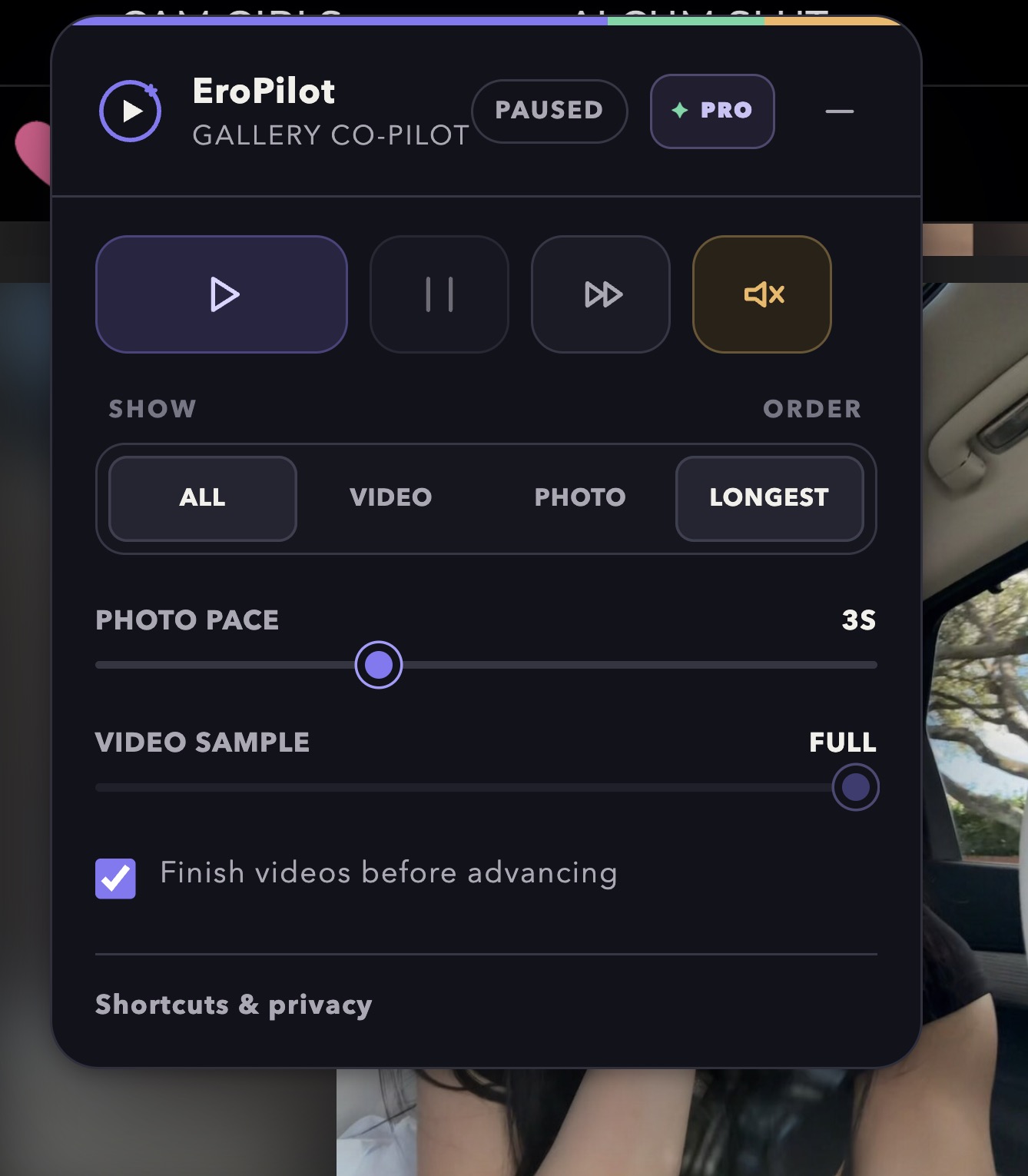 GalleryPilot extension popup with playback, media filters, pacing, mute, and Pro controls